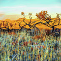 Badlands Winter Kaleidoscope